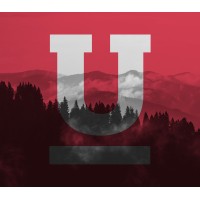 Founder & Head of Experience