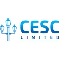 Executive Information Technology