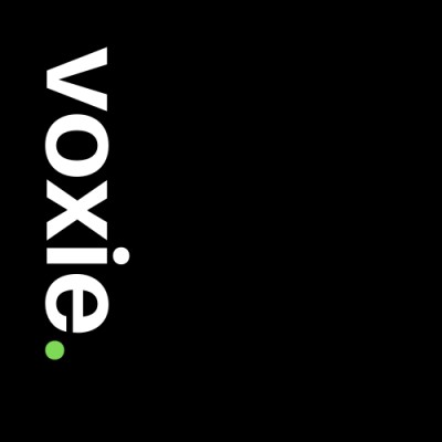 Chief Experience Officer / Principal CX/UX Research & Strategy Consultant 