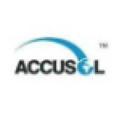 Sr. Consultant & Project Manager—ERP Implementation