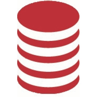 Director Of Client Services