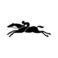 Visual Merchandising Manager, North America