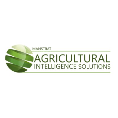 Web Designer / Team Leader / Social Media