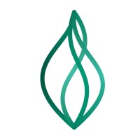 Vice President, International Market Development