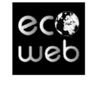 Back-office support, Graphics Designer, Digital marketeer (freelancer)