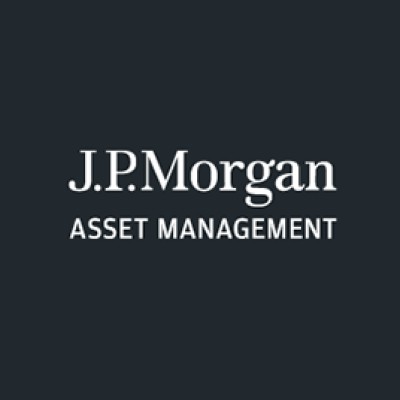 Vice President Senior Project Manager