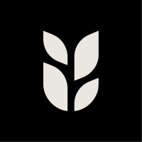 Management Associate