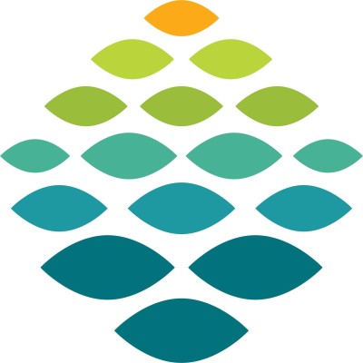 Lead CT Technologist