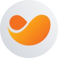 Procurement and contract manager