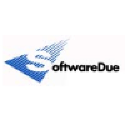 IT Consultant - Software Developer