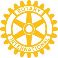 Board Member
