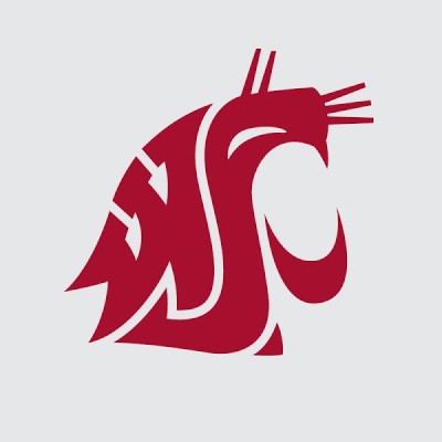 WSU Master in Teaching Student