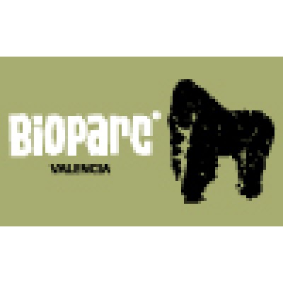 Digital Business & MK Consultant