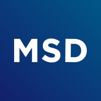 Project Assistant