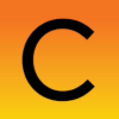 Report Programmer