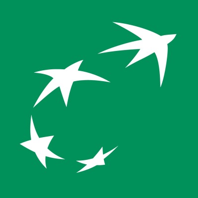Implementation Project Manager