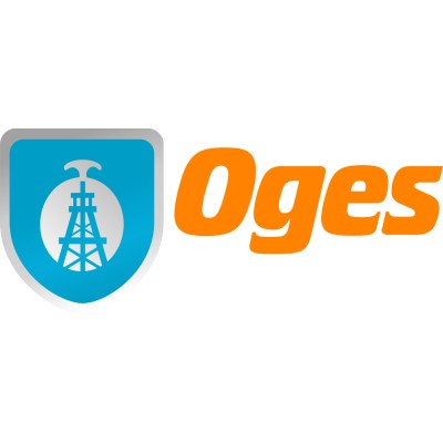 Sr Consultant and Advisor (OGES)