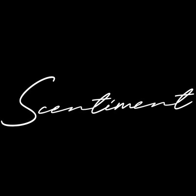 Senior eCommerce & Operations Consultant