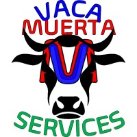 Director de proyecto