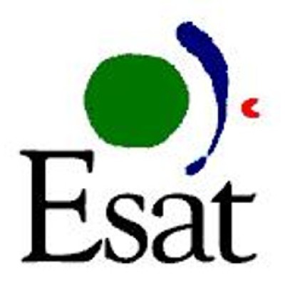 Engineering Director