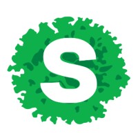 Software Architect