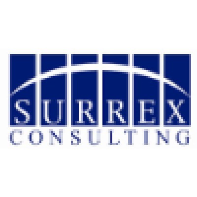 Sr. IT Consulting Services Manager
