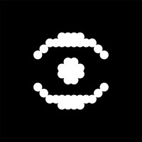 CTO & Senior Developer