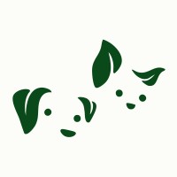 Sales Manager