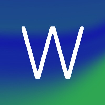 Executive Strategy Director