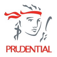 Insurance Consultant