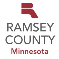 Sr Business / Data Analyst