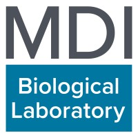 REU Undergraduate Research Fellow