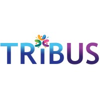 Talent and Organisational Development Consultant