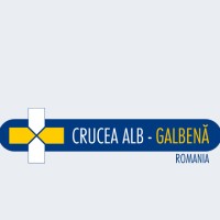 Internal Medicine Physician