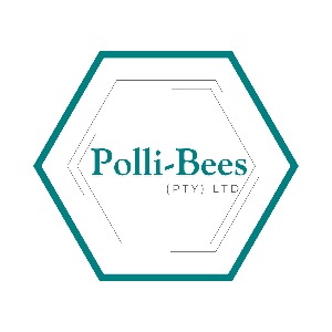 Project Manager | PMO & Project Operations