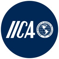 Consultor profesional