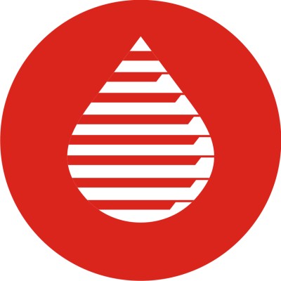 Financial Modelling and Project Control Specialist