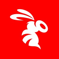 Agile Team Lead