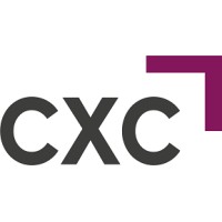 Commercial Vice President