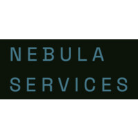 Finance Transformation Project Consultant