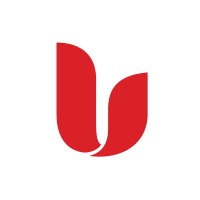 SharePoint/BI Architect Vice President