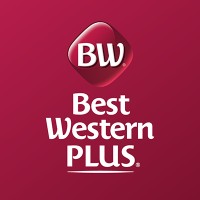 Head of Marketing Department