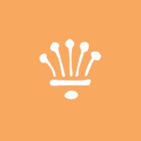 Executive Assistant // Project Manger