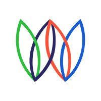 Head of Field Operations