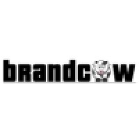 Junior Graphic Designer