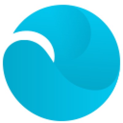 Software Developer