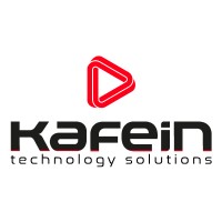 Software Developer