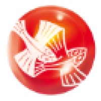 Diseñador y Creativo Digital