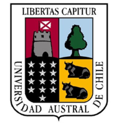 Frontend Developer (Research Assistant)