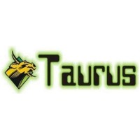IT and Accounting Consultant